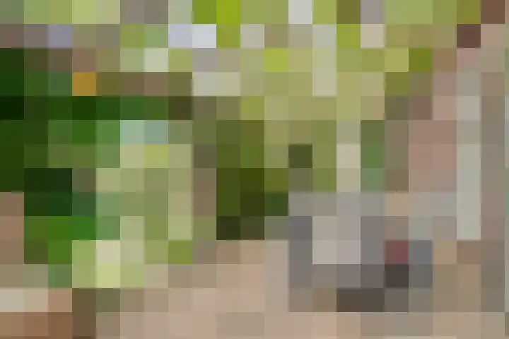 Schoolstraat 2 Swolgen thumbnail 4