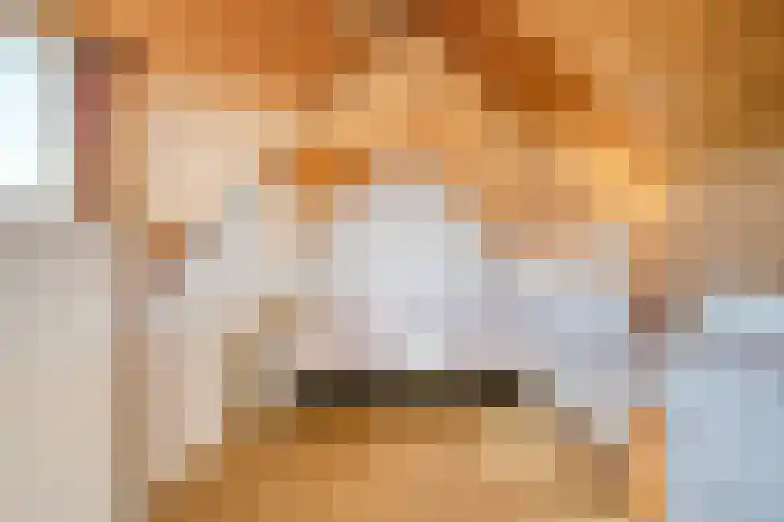 Schoolstraat 2 Swolgen thumbnail 44