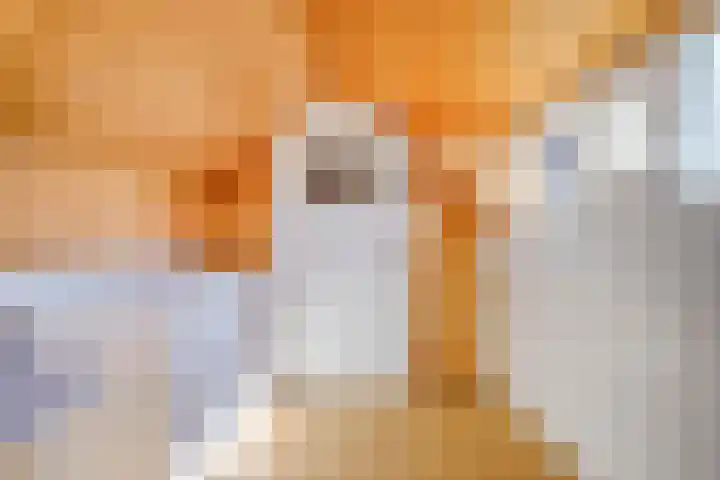 Schoolstraat 2 Swolgen thumbnail 45