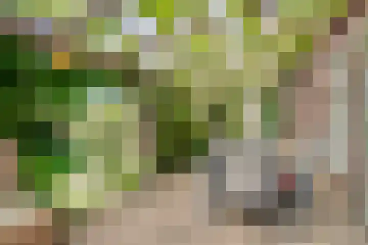 Schoolstraat 2 Swolgen thumbnail 50