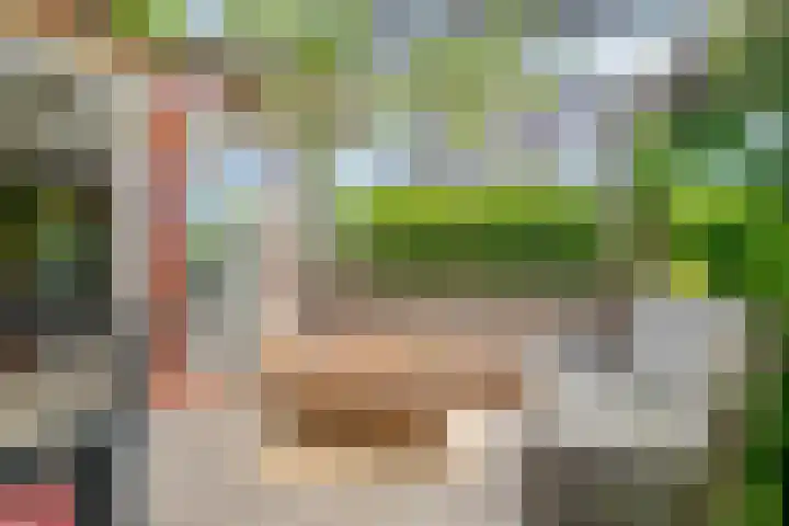 Schoolstraat 2 Swolgen thumbnail 53
