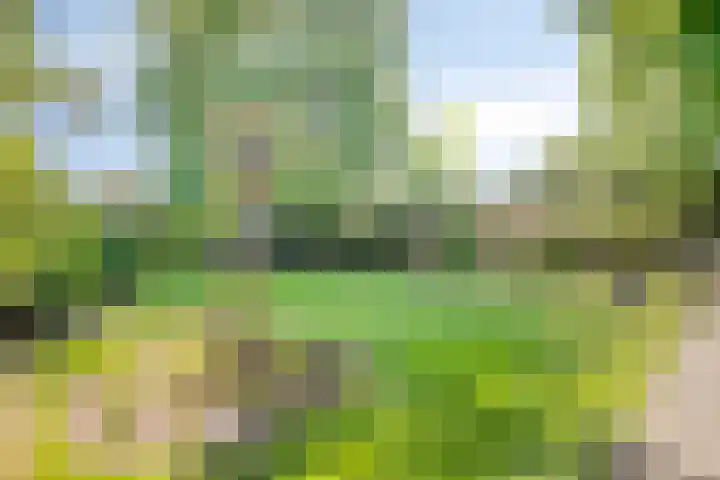 Schoolstraat 2 Swolgen thumbnail 55