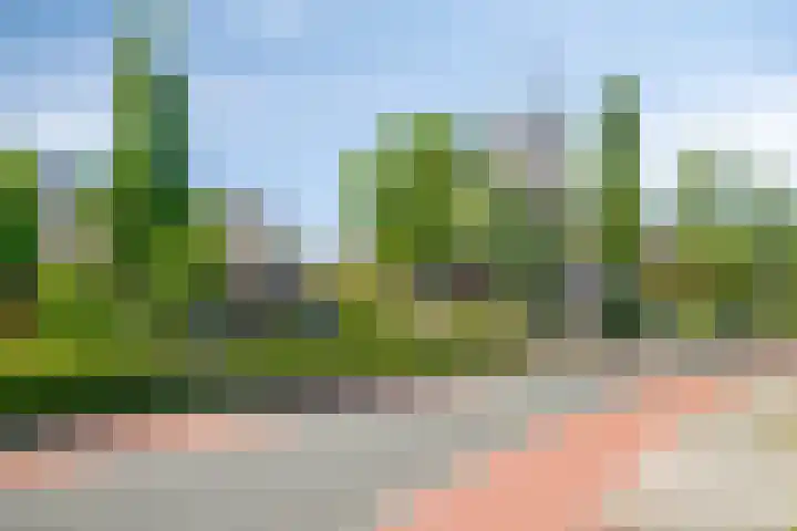 Schoolstraat 2 Swolgen thumbnail 62