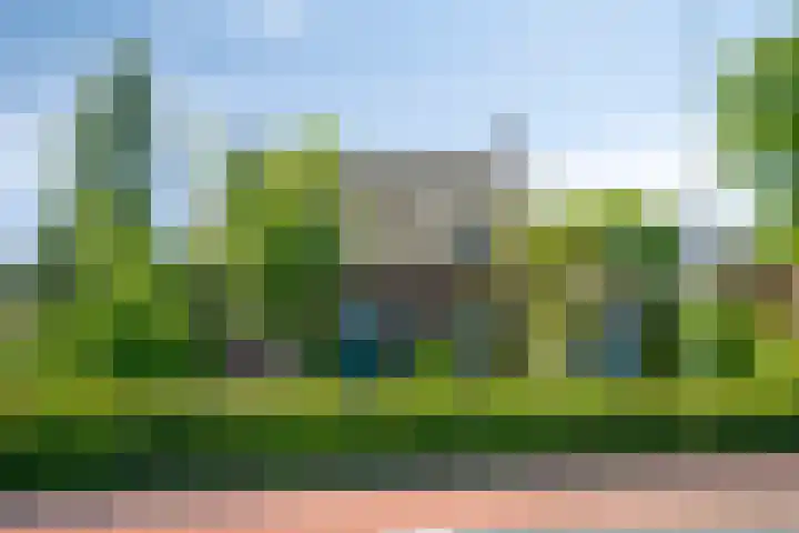 Schoolstraat 2 Swolgen thumbnail 70