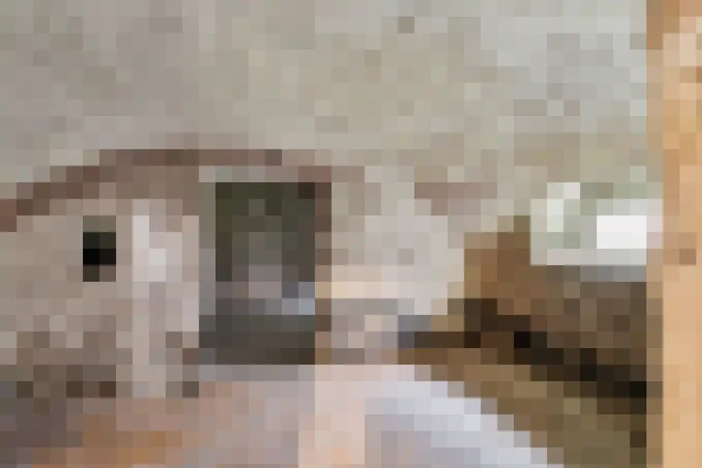 Schoolstraat 2 Usquert thumbnail 23