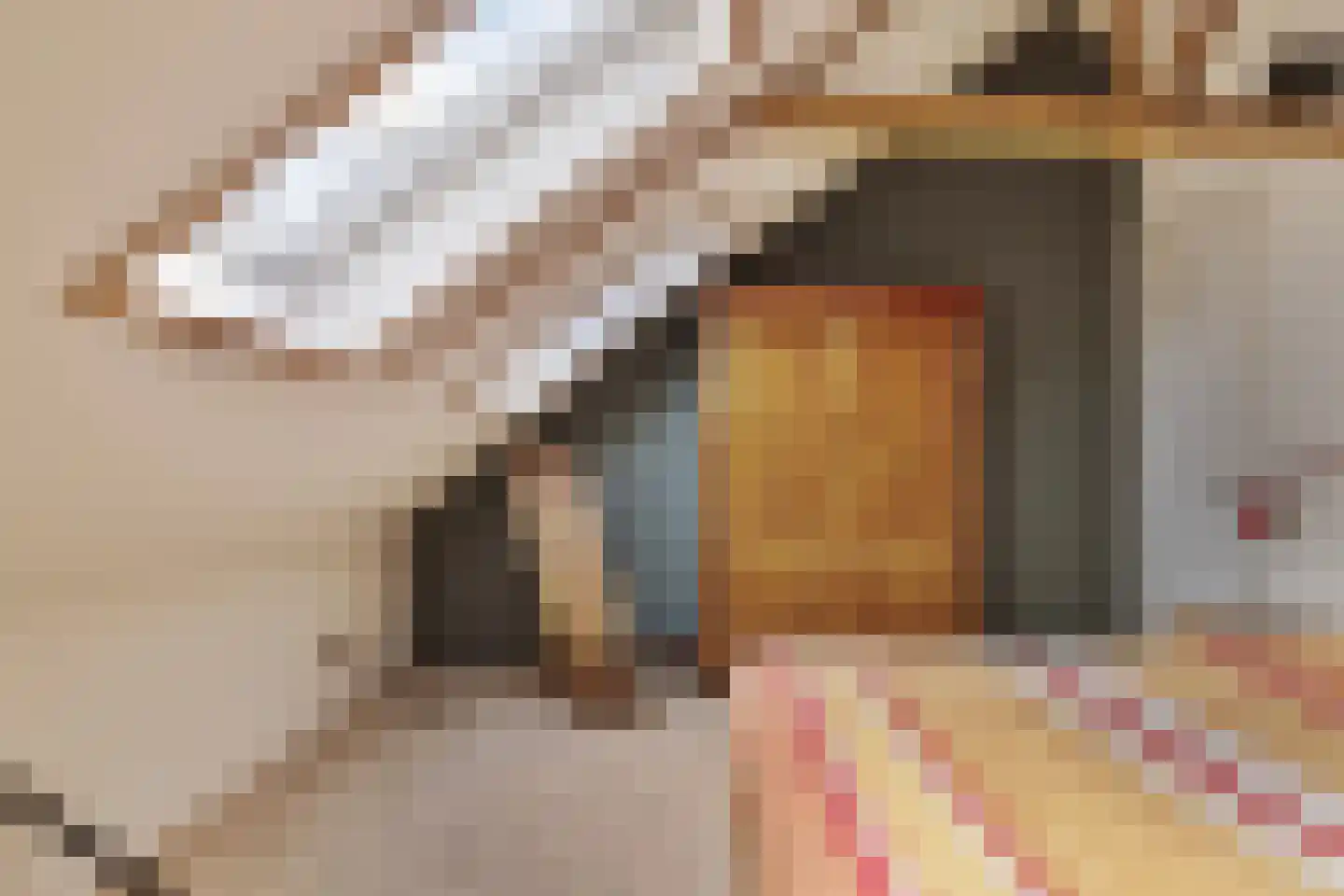 Schoolstraat 2 Usquert thumbnail 33
