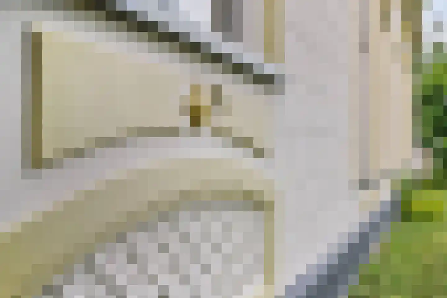 Schoolstraat 2 Usquert thumbnail 40