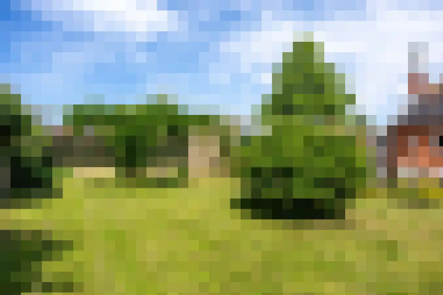 Schoolstraat 2 Usquert thumbnail 51