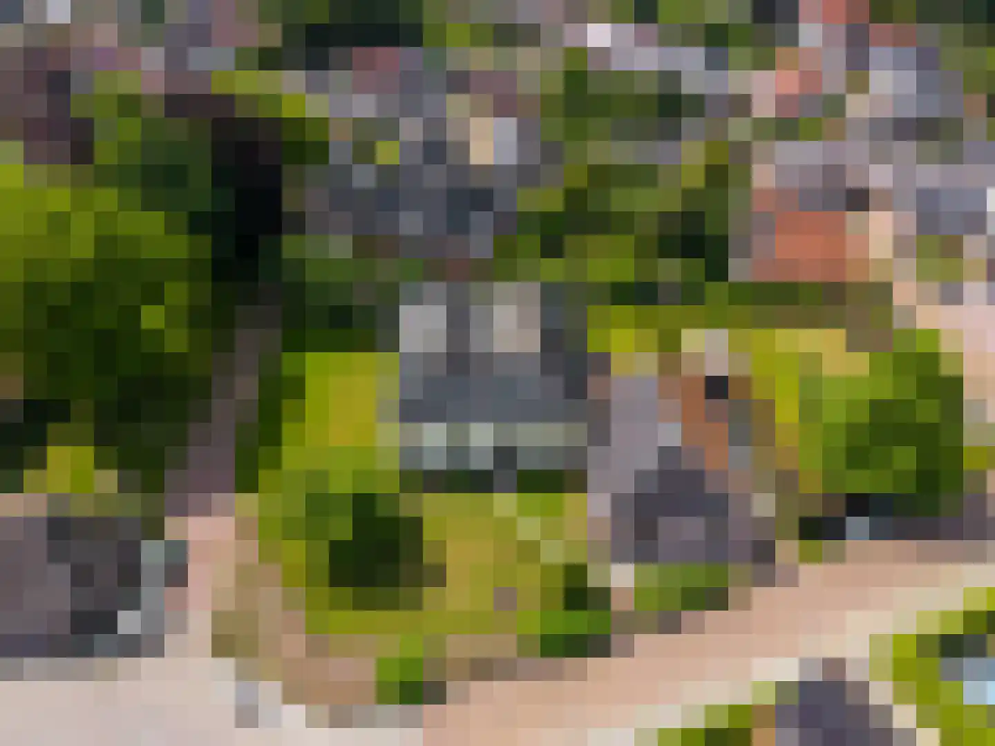 Schoolstraat 2 Usquert thumbnail 56