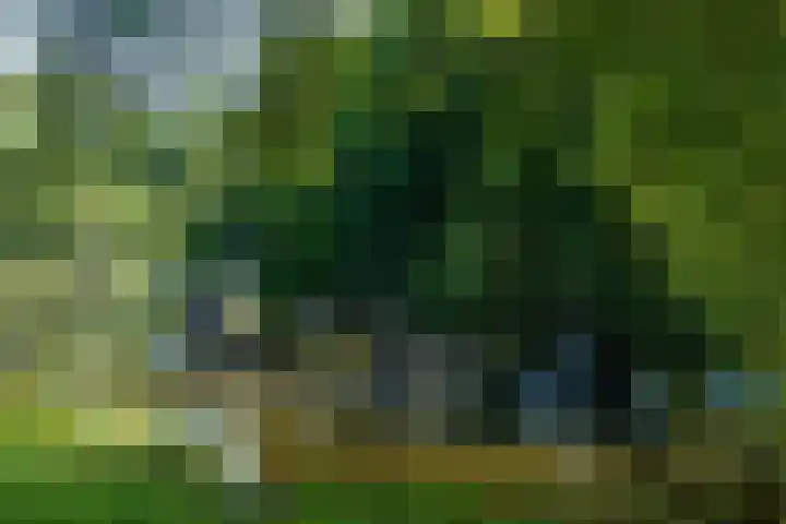 Schoolstraat 20 1L Amsterdam thumbnail 19