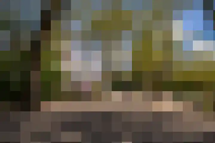 Schoolstraat 20 1L Amsterdam thumbnail 21