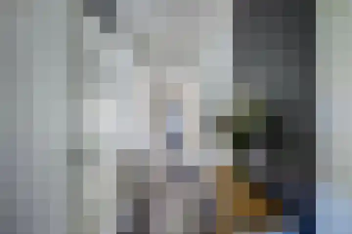 Schoolstraat 20 Ens thumbnail 16