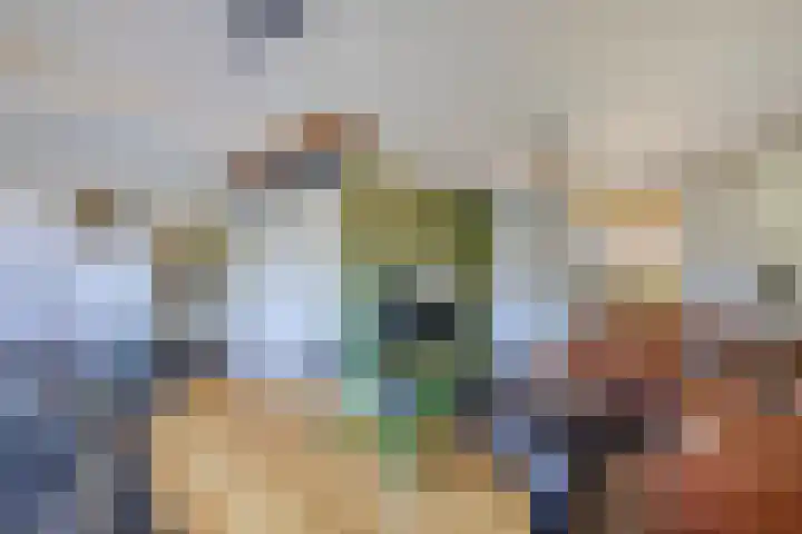 Schoolstraat 20 Ens thumbnail 18