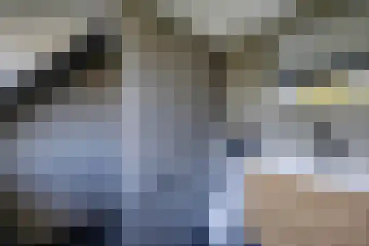 Schoolstraat 20 Ens thumbnail 51