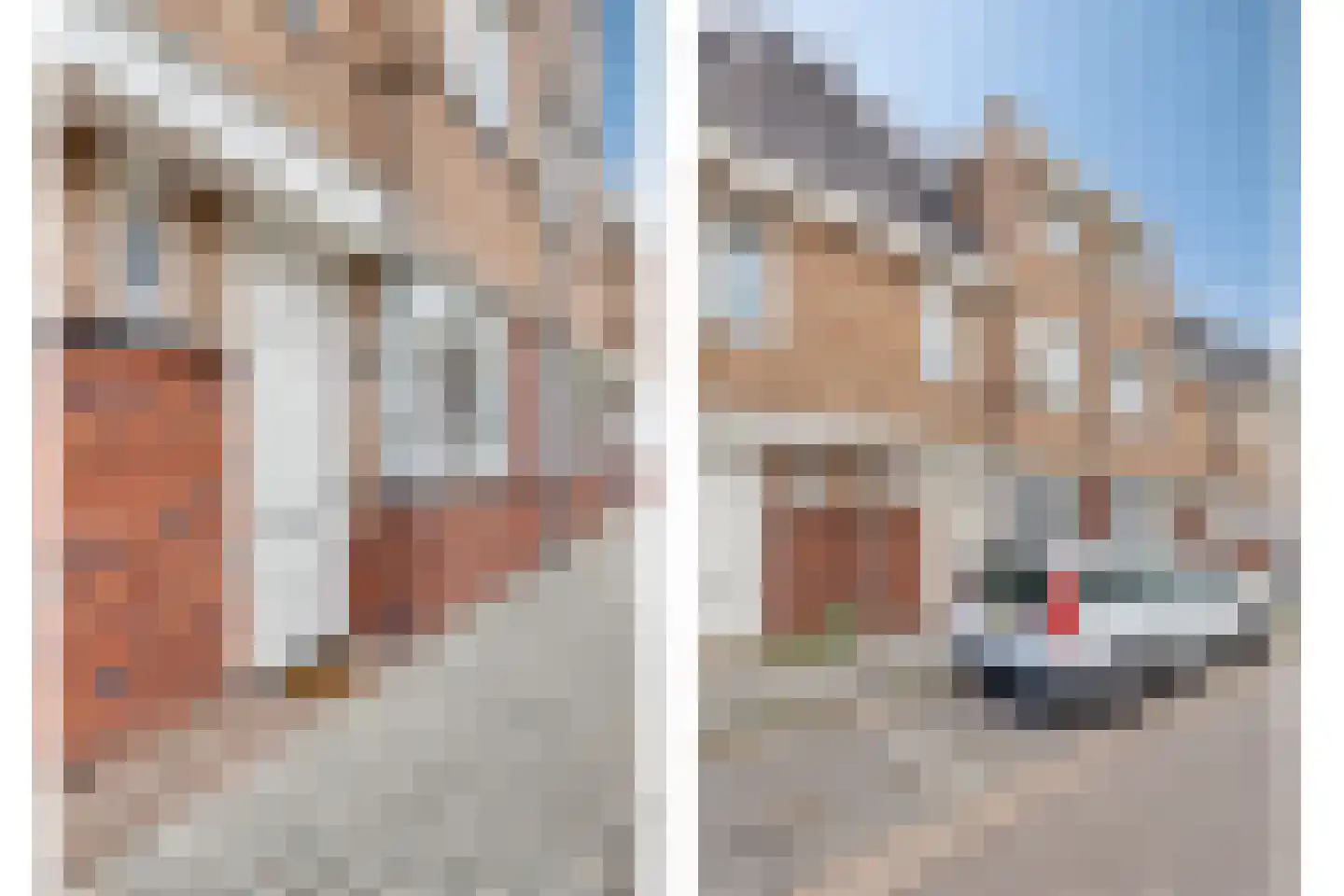 Schoolstraat 20 Helmond thumbnail 6