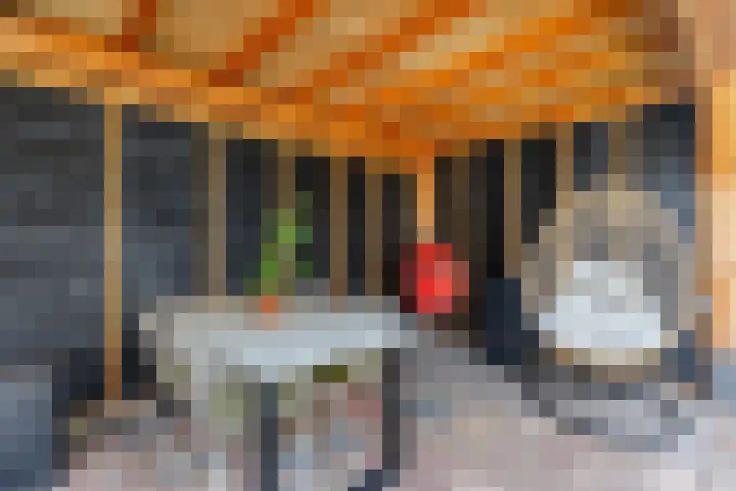 Schoolstraat 20 Krimpen aan de Lek thumbnail 15