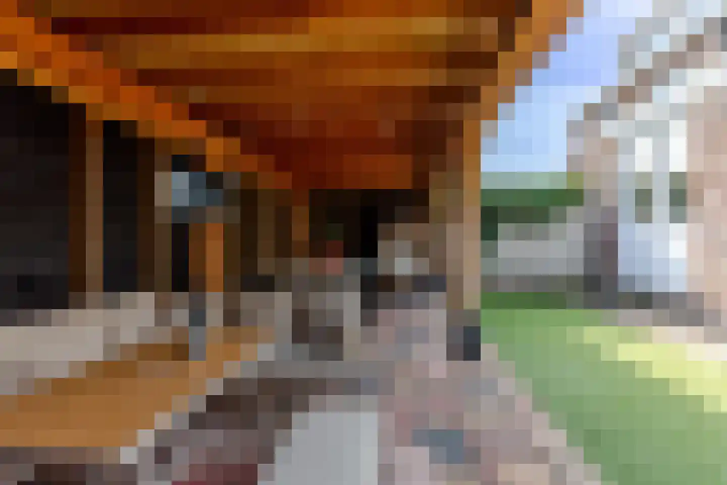 Schoolstraat 20 Krimpen aan de Lek thumbnail 16
