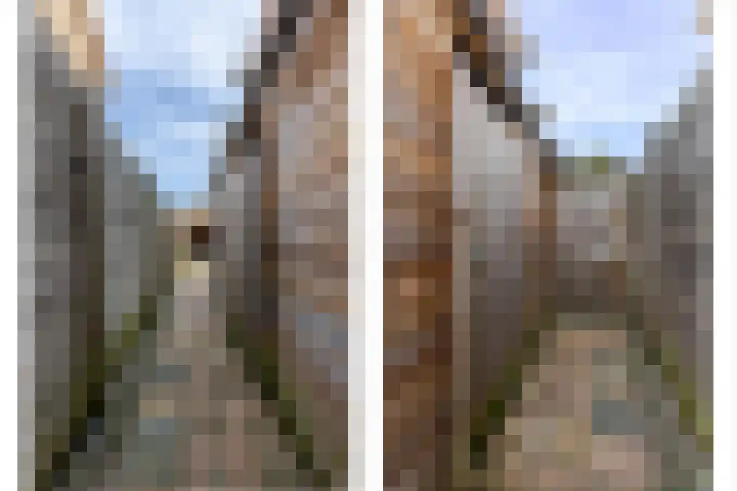Schoolstraat 20 Krimpen aan de Lek thumbnail 19