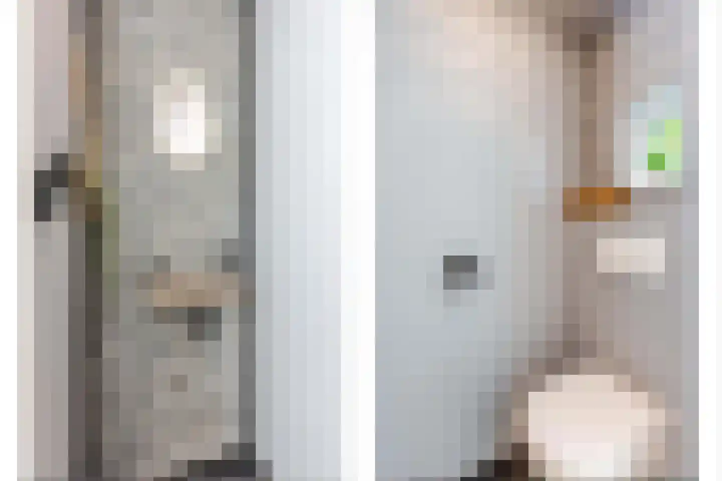 Schoolstraat 20 Krimpen aan de Lek thumbnail 21