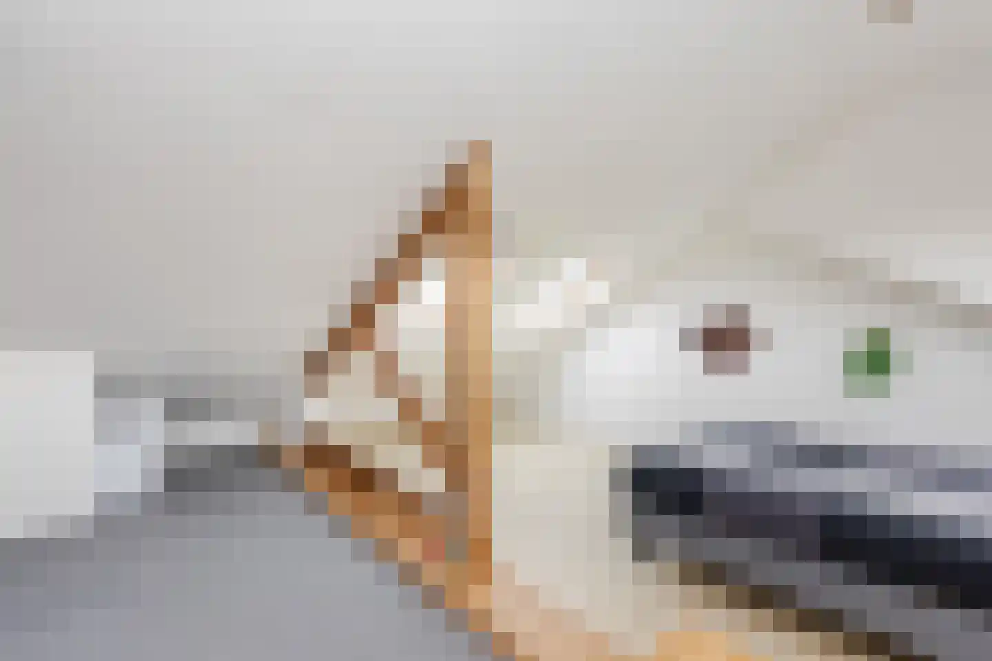 Schoolstraat 20 Krimpen aan de Lek thumbnail 35