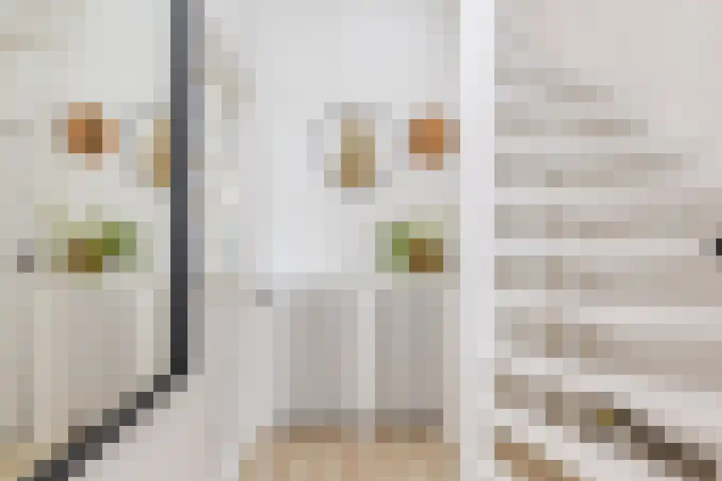 Schoolstraat 20 Krimpen aan de Lek thumbnail 4
