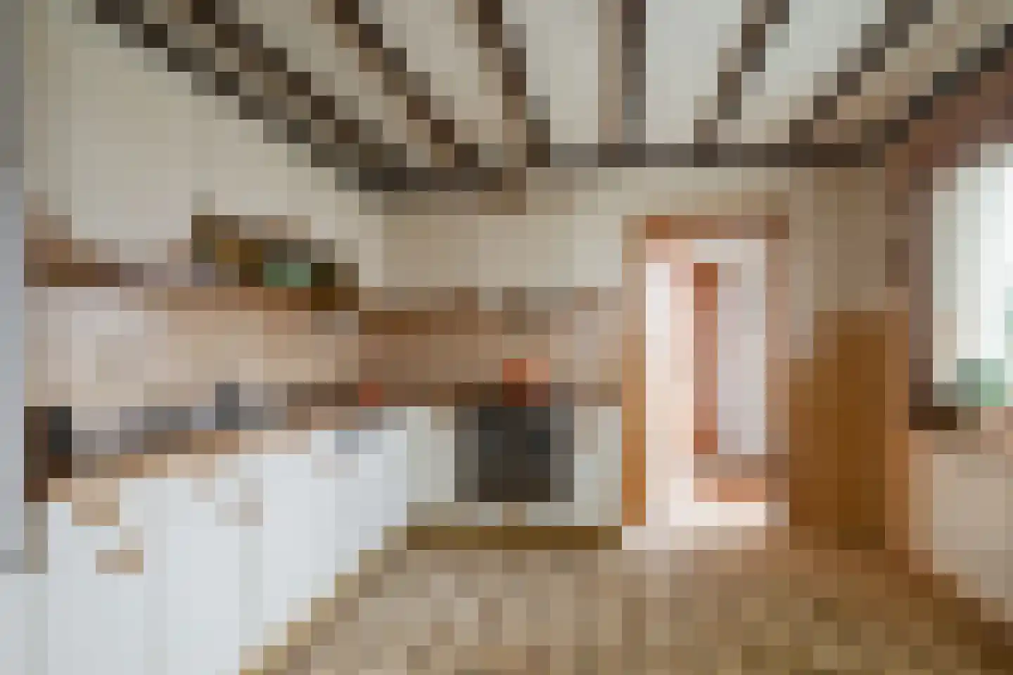 Schoolstraat 20 Overdinkel thumbnail 12