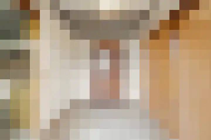 Schoolstraat 20 Overdinkel thumbnail 14