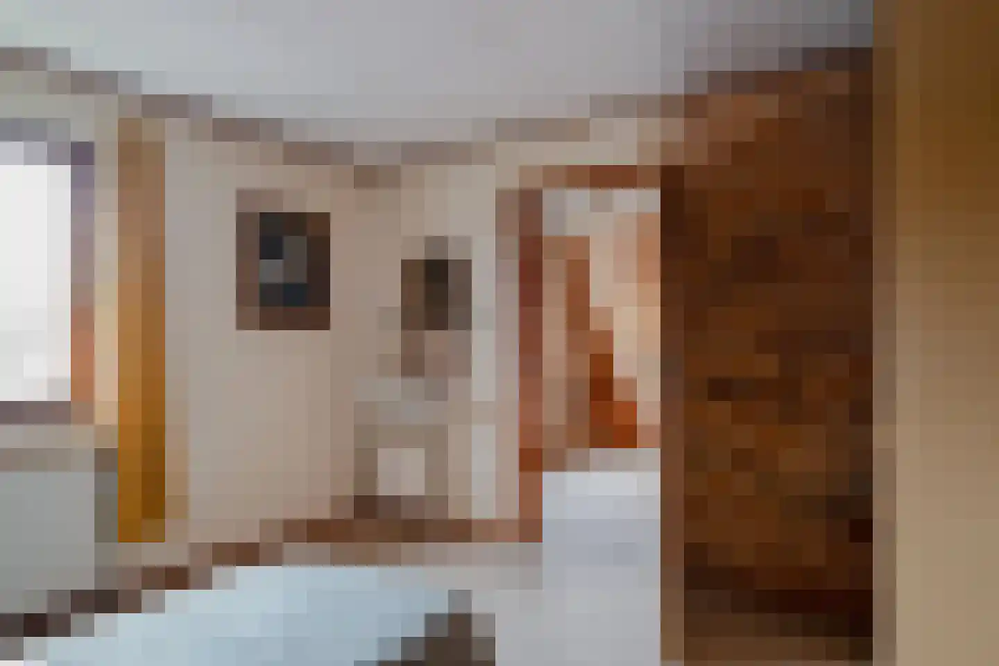 Schoolstraat 20 Overdinkel thumbnail 28