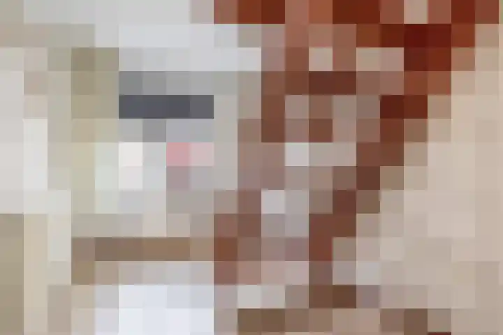 Schoolstraat 21 Blijham thumbnail 22