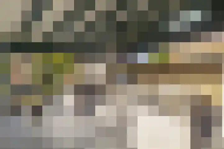 Schoolstraat 21 Blijham thumbnail 32