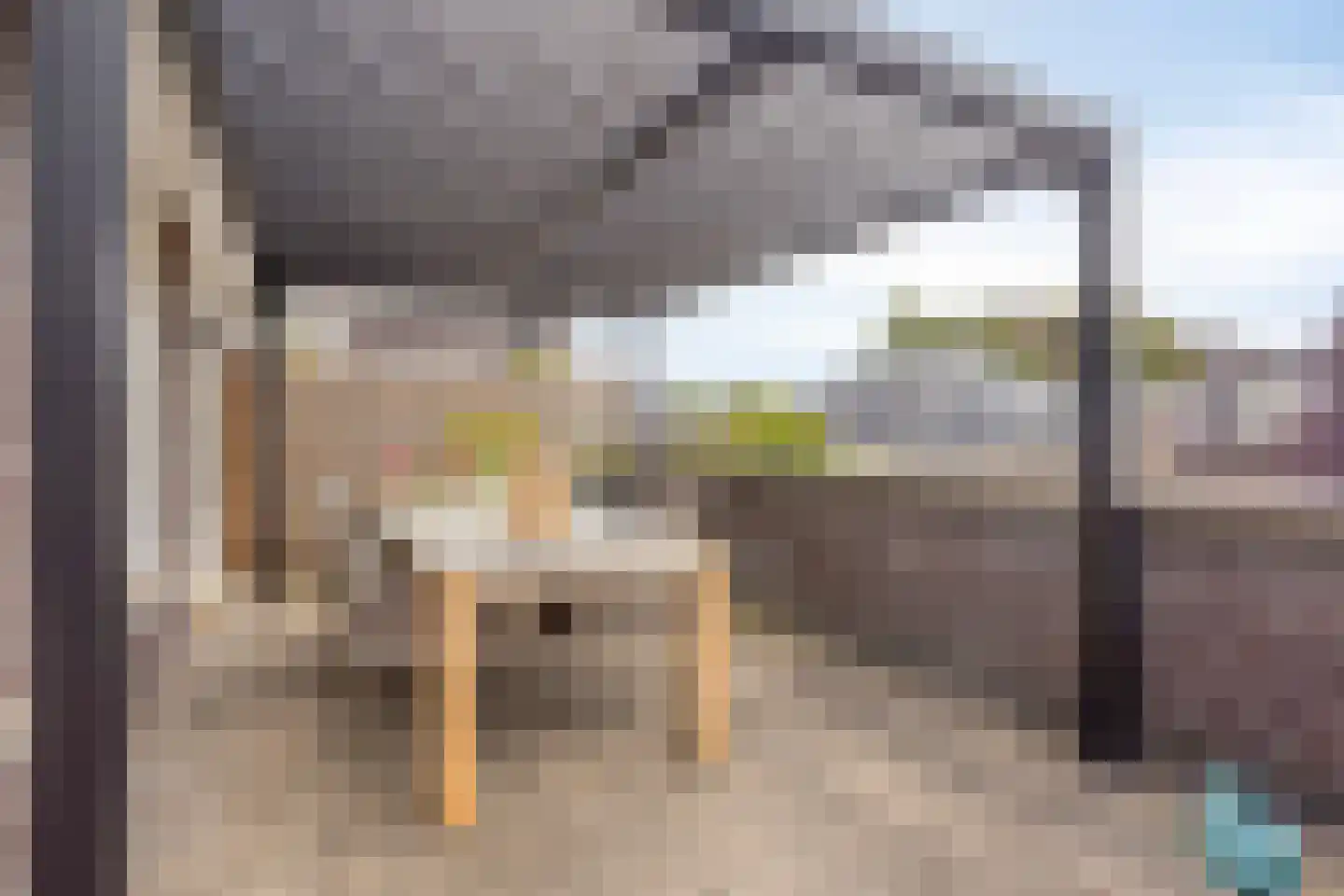 Schoolstraat 21 Moergestel thumbnail 25