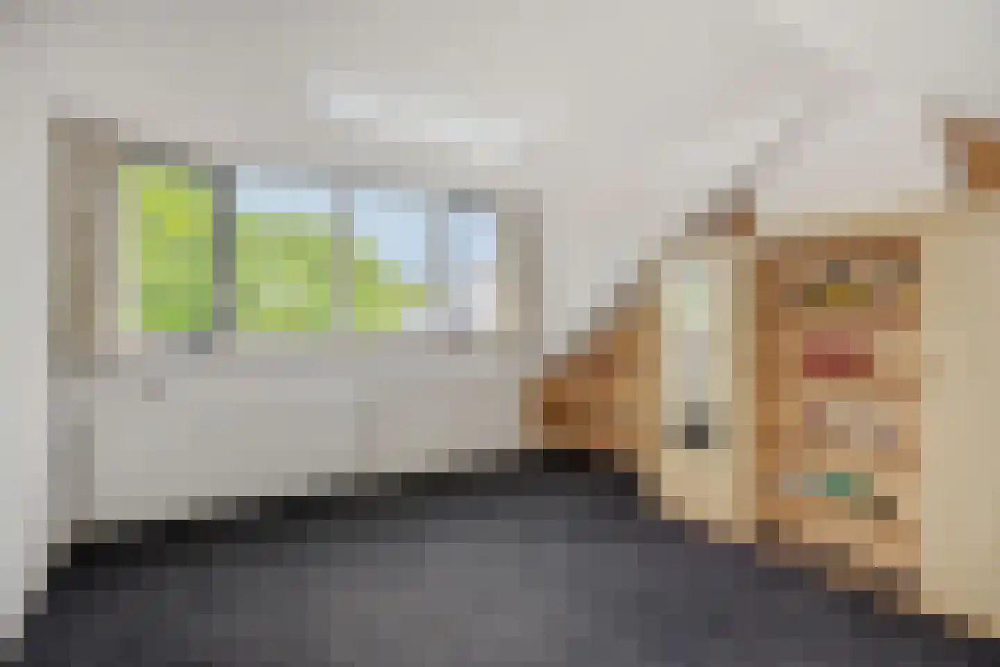 Schoolstraat 21 Nuland thumbnail 19
