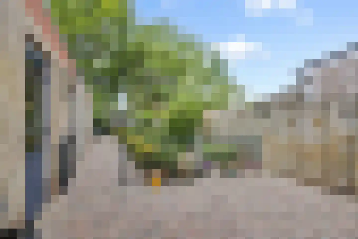 Schoolstraat 21 Nuland thumbnail 20
