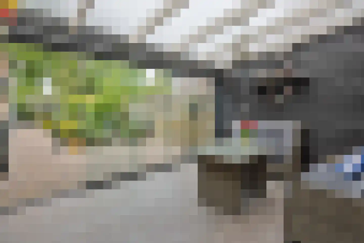 Schoolstraat 21 Nuland thumbnail 21