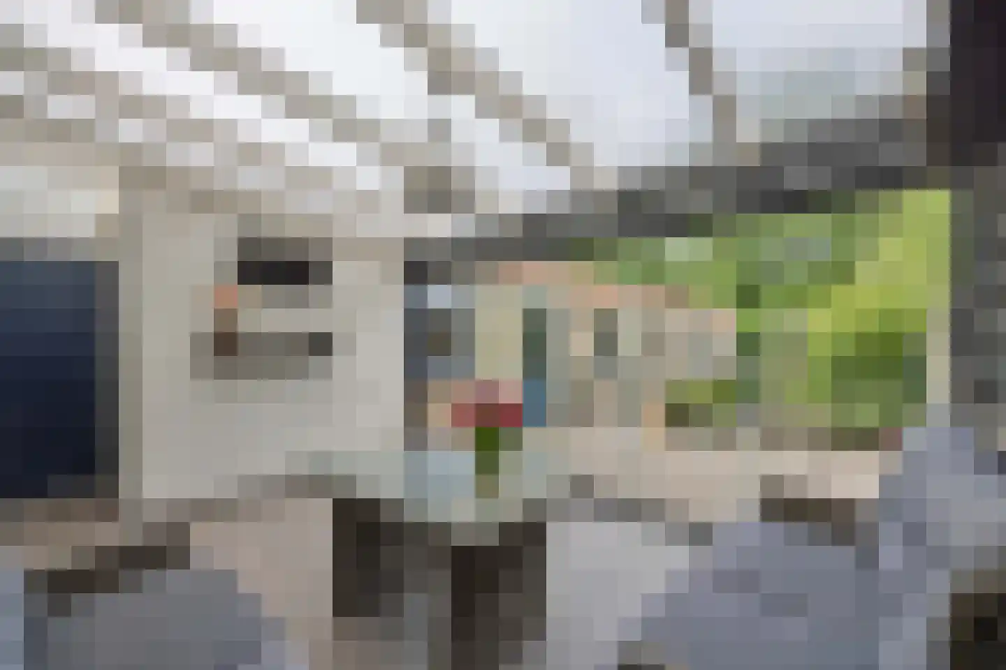 Schoolstraat 21 Nuland thumbnail 23