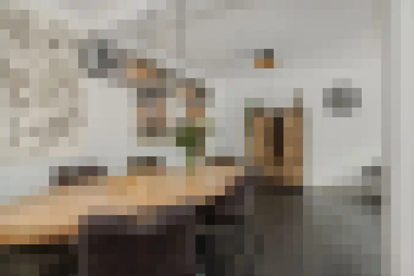 Schoolstraat 21 Nuland thumbnail 7