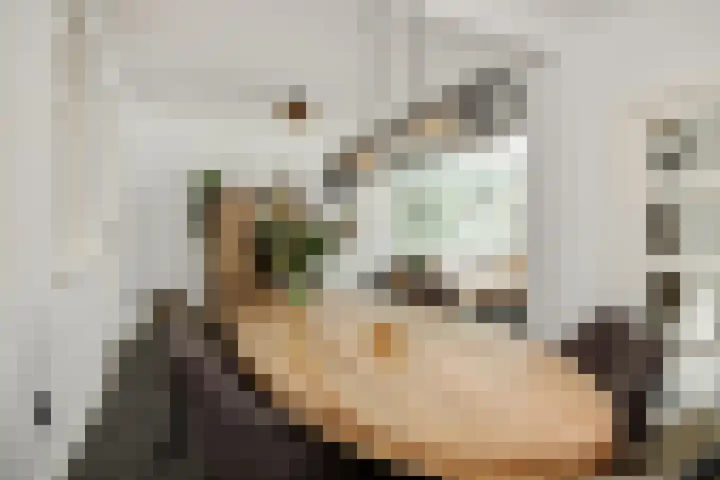 Schoolstraat 21 Nuland thumbnail 8