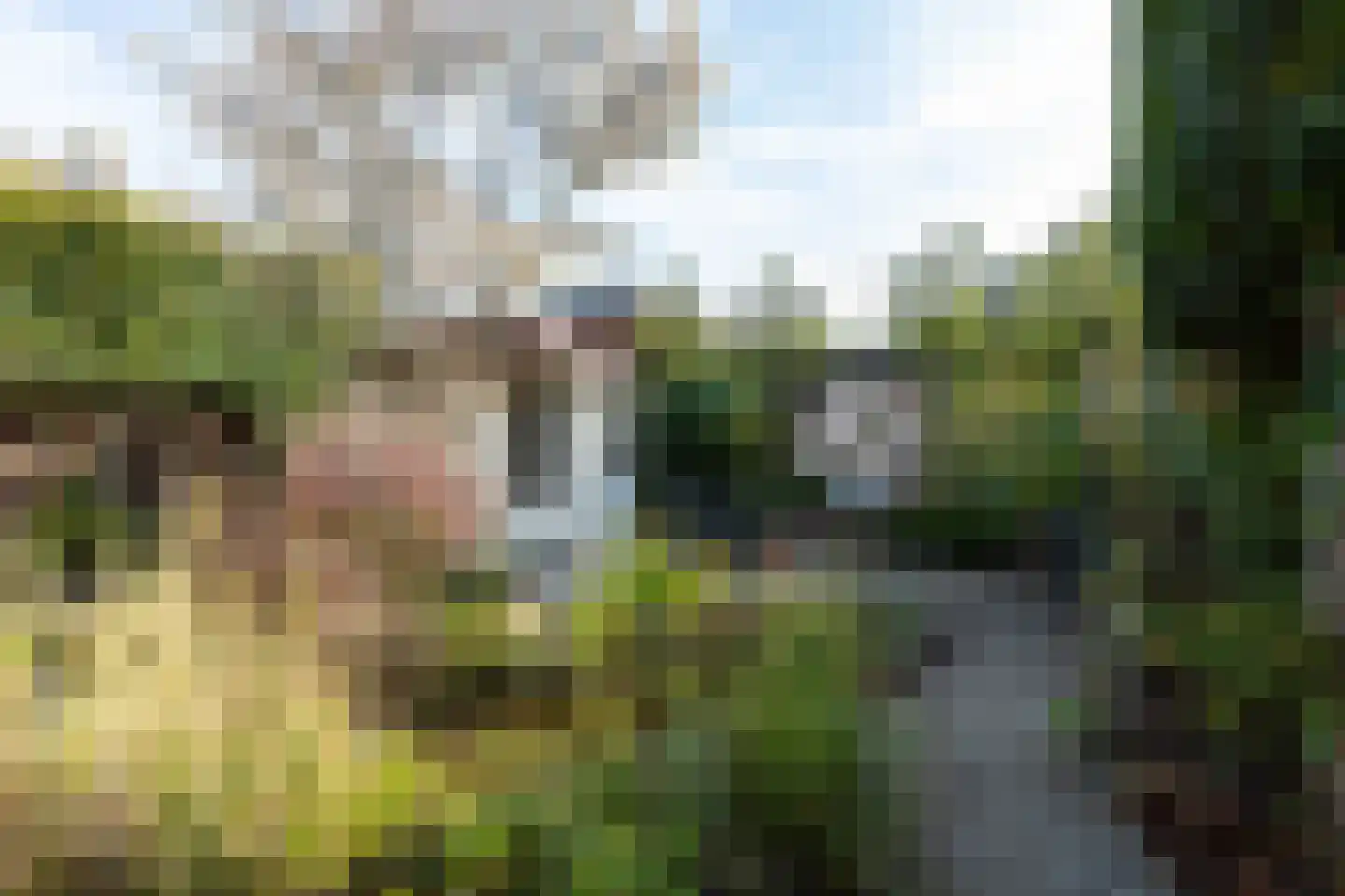 Schoolstraat 21 Papendrecht thumbnail 27