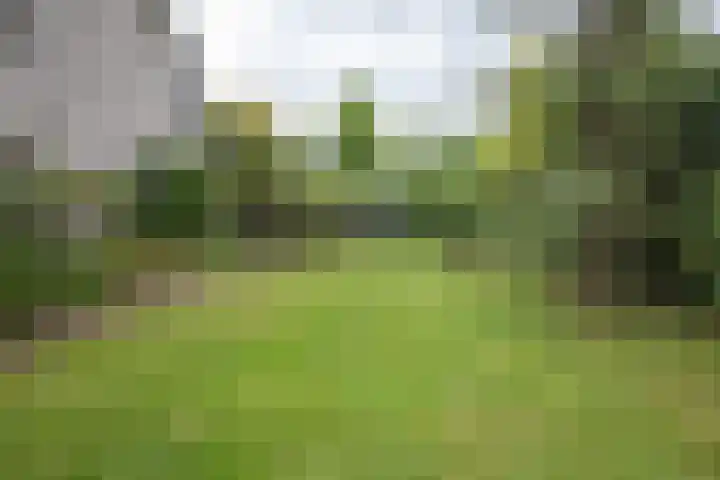 Schoolstraat 21 Woudenberg thumbnail 26