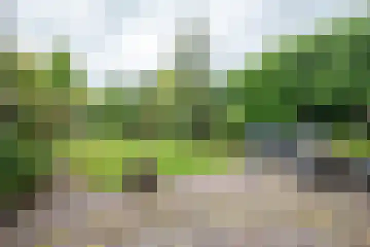Schoolstraat 21 Woudenberg thumbnail 27