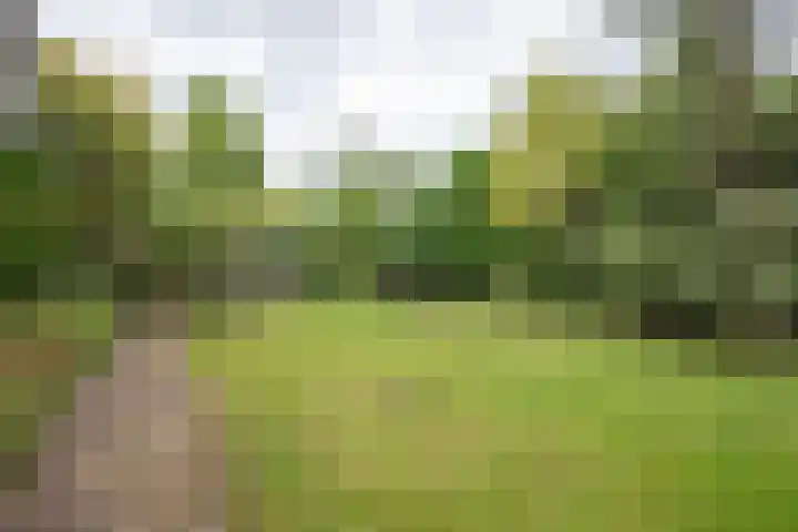 Schoolstraat 21 Woudenberg thumbnail 28