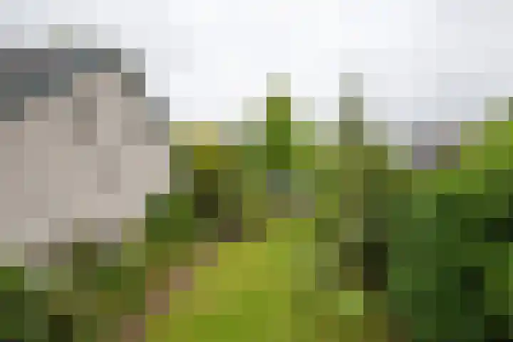 Schoolstraat 21 Woudenberg thumbnail 29