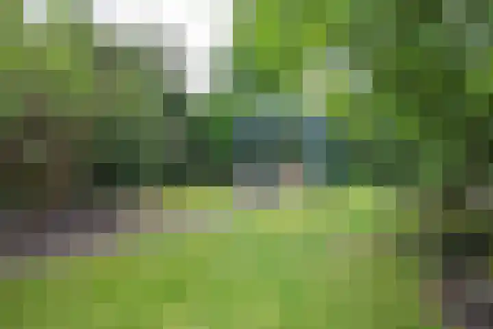 Schoolstraat 21 Woudenberg thumbnail 30