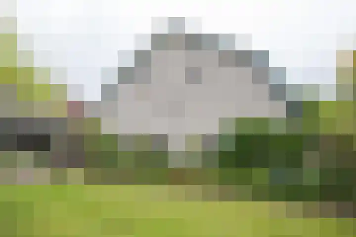 Schoolstraat 21 Woudenberg thumbnail 32