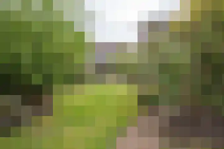 Schoolstraat 21 Woudenberg thumbnail 4
