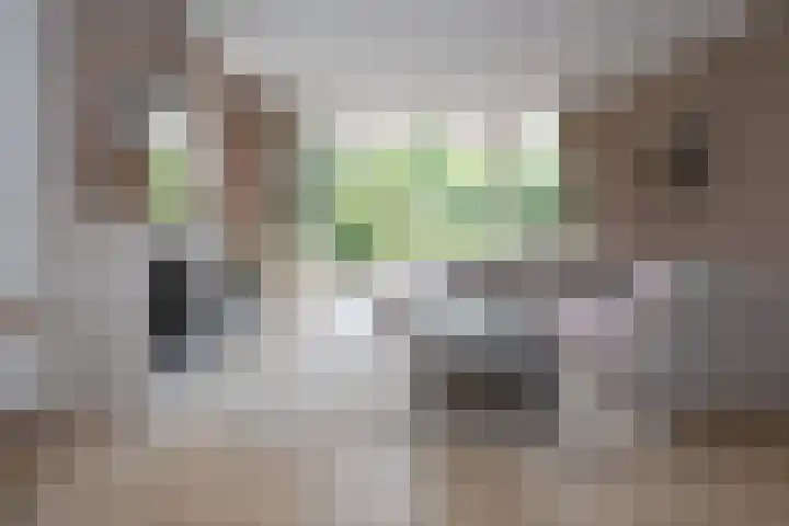 Schoolstraat 21 Woudenberg thumbnail 9