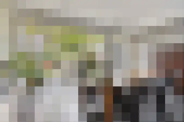 Schoolstraat 22 Beek en Donk thumbnail 16