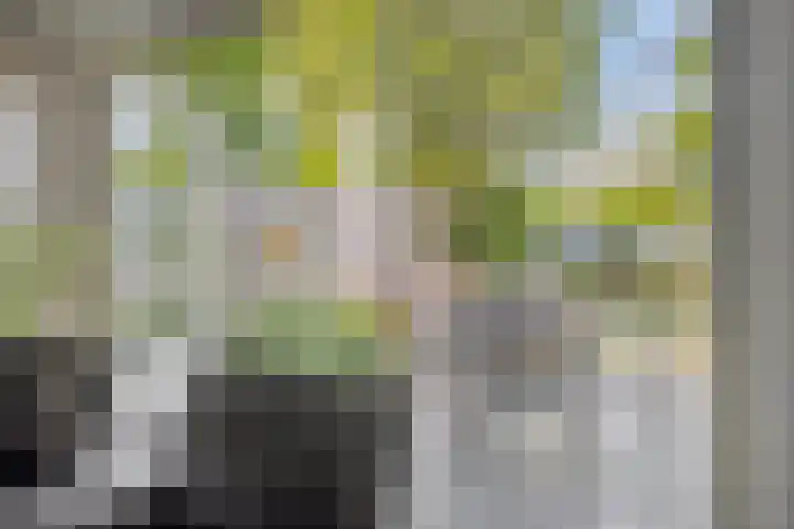Schoolstraat 22 Beek en Donk thumbnail 17