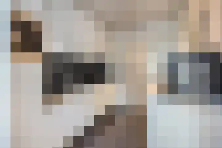 Schoolstraat 22 Beek en Donk thumbnail 19
