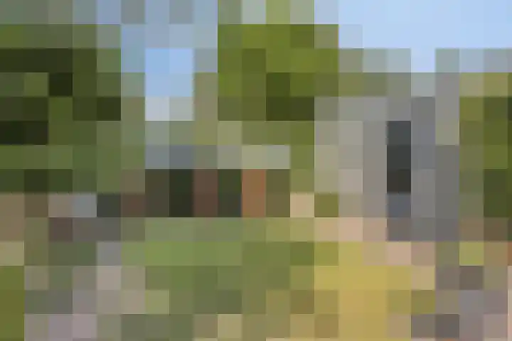 Schoolstraat 22 Beek en Donk thumbnail 20